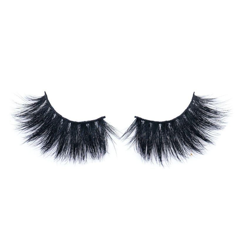 5D "Fierce"