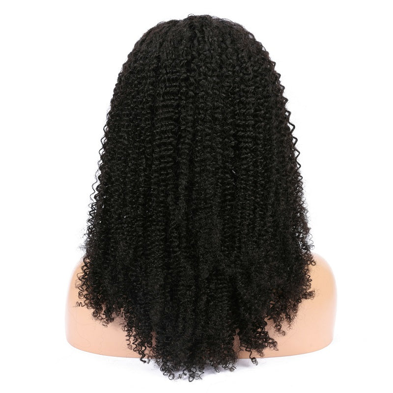 Malaysian Kinky Curly Lace Front Wig