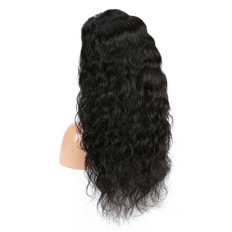 Indian Natural Wave Lace Front Wig